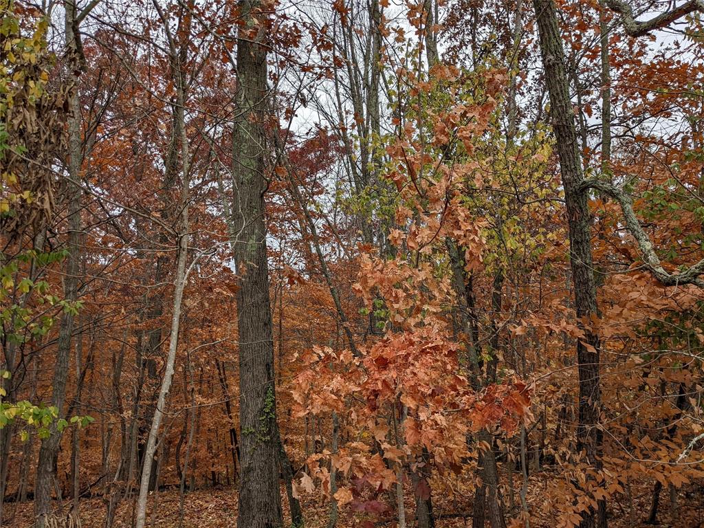 Sold Lot 7 Orchard Hill Drive, Nashville, IN 47448 25,000 SOLD