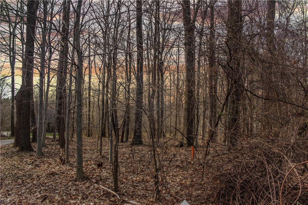 Brandon Warfield Martinsville Carpenter Realtors, Inc.